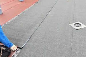 IMG_9687